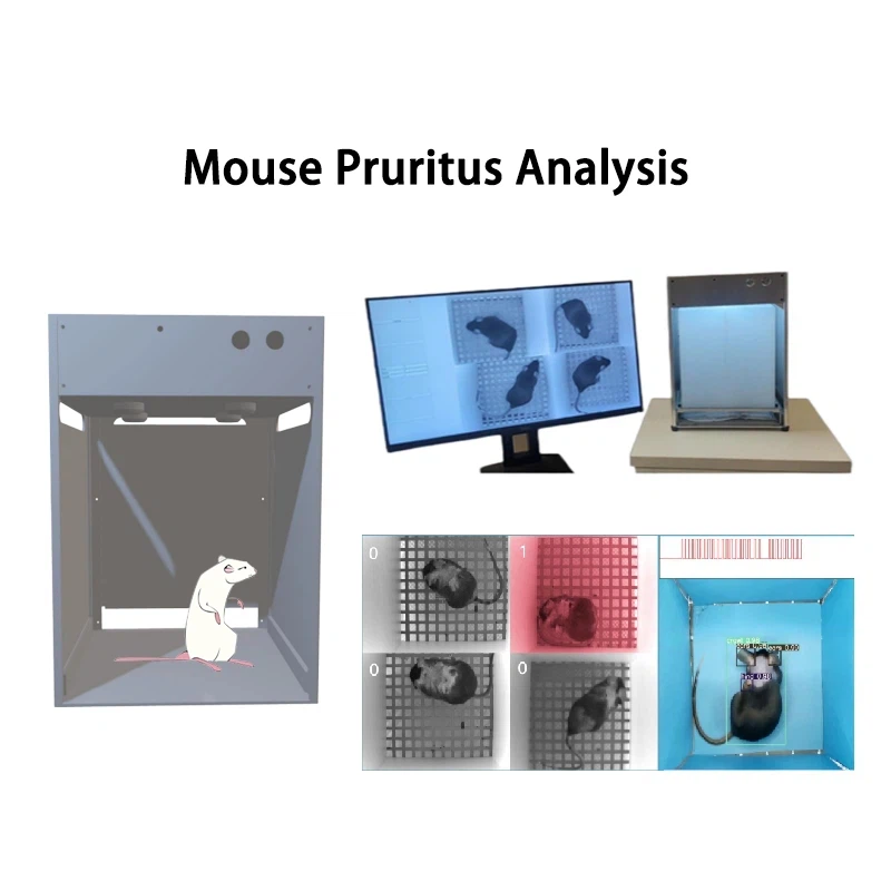 Animal Pruritus Behavior Analysis System